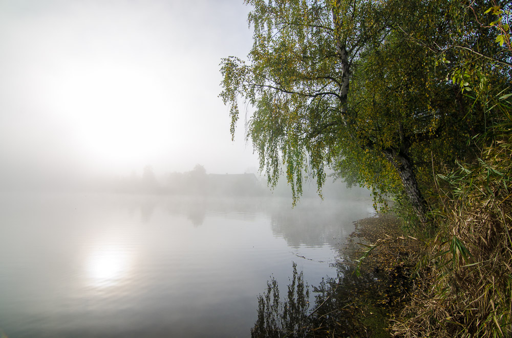 Mlha na rybníkem Žabakor (Český ráj)