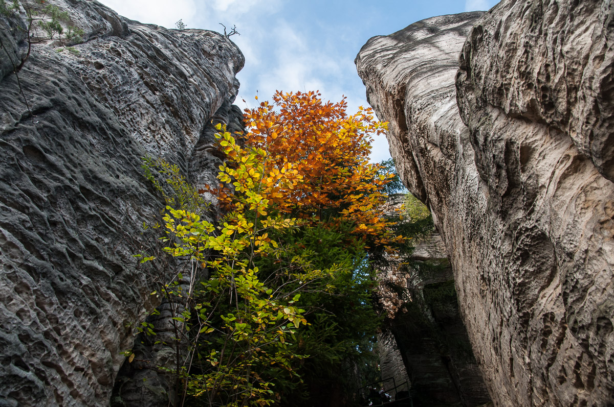 Podzimní barvy v Prachovských skalách