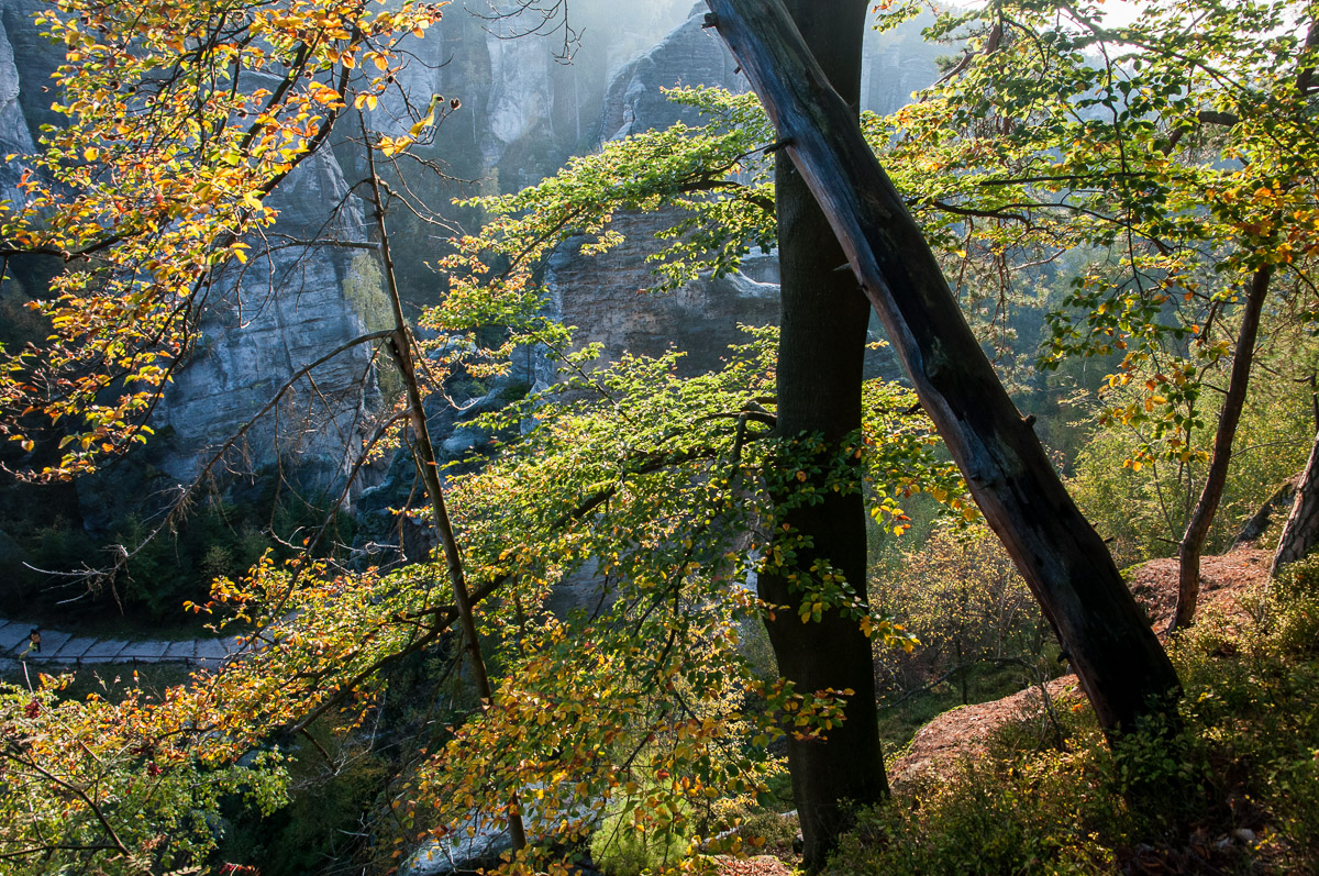 Podzimní barvy v Prachovských skalách