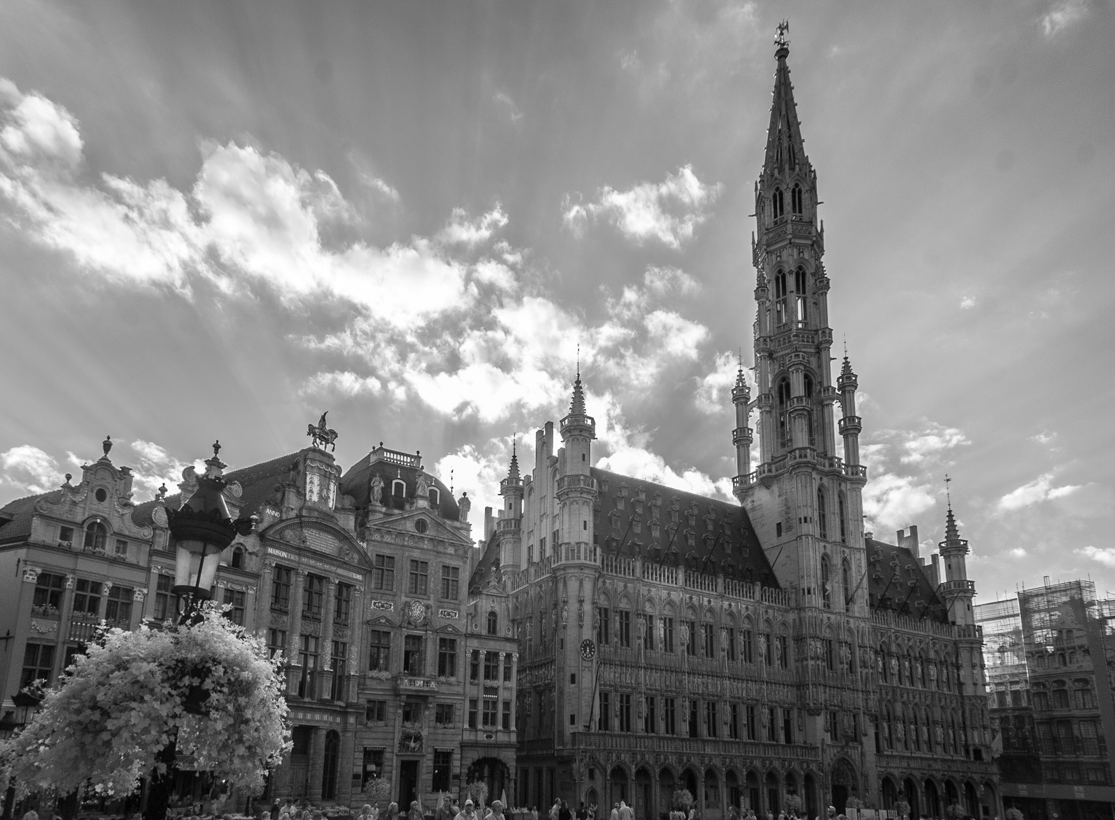 Momentka z Bruselu - fotogarfováno v infračerveném spektru