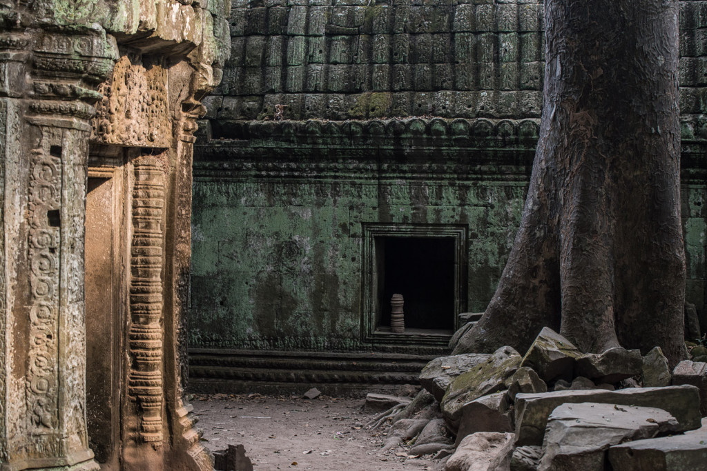 Ta Prohm, Angkor Vat, Kambodža, Cambodia
