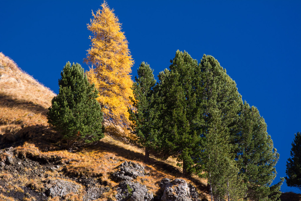 podzimní Dolomity, Val di Vajolet