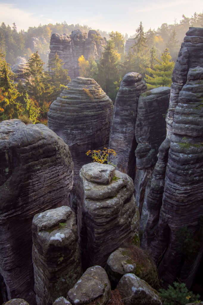Jak se fotí podzim v Prachovských skalách v Českém ráji (při ranní mlze)