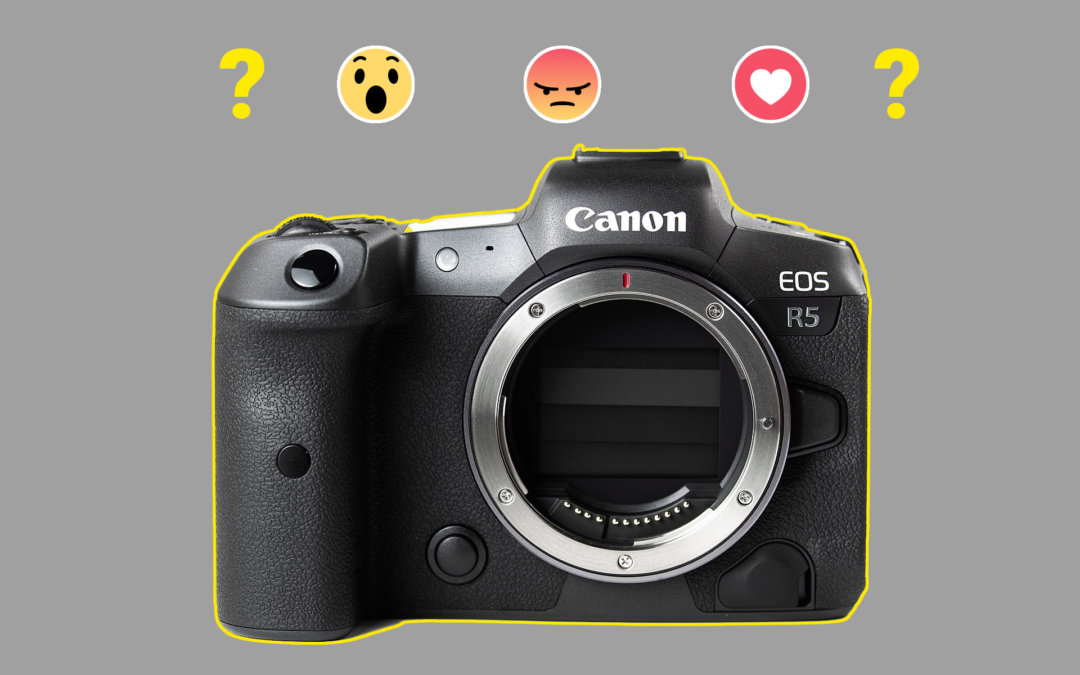 Jsou z foťáků počítače? A je Canon v čele? Poznámky k Canon R6 a R5 a Sony A7SIII a Nikonu Z5, D6.